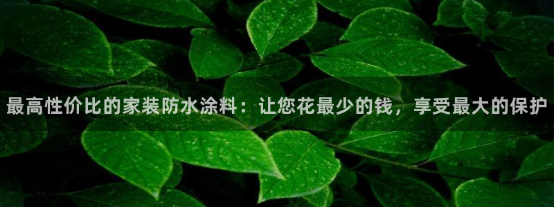 和记国际官网官网：最高性价比的家装防水涂料：让您花最少的钱，享受最大的保护
