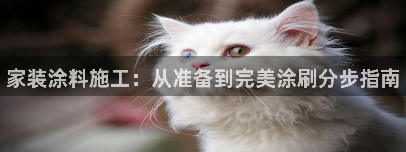 和记h188：家装涂料施工：从准备到完美涂刷分步指南