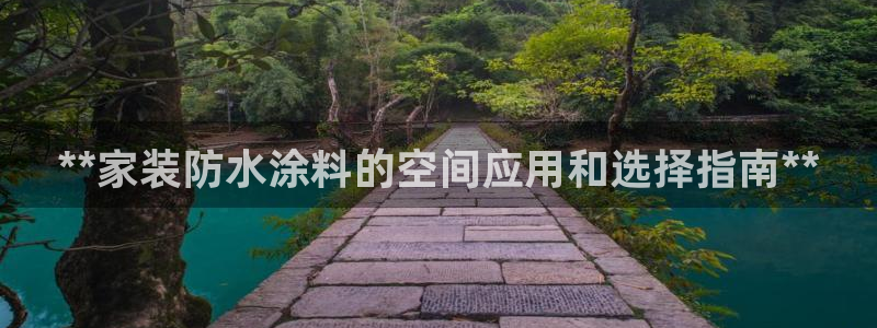 和记注册有什么送的：**家装防水涂料的空间应用和选择指南**