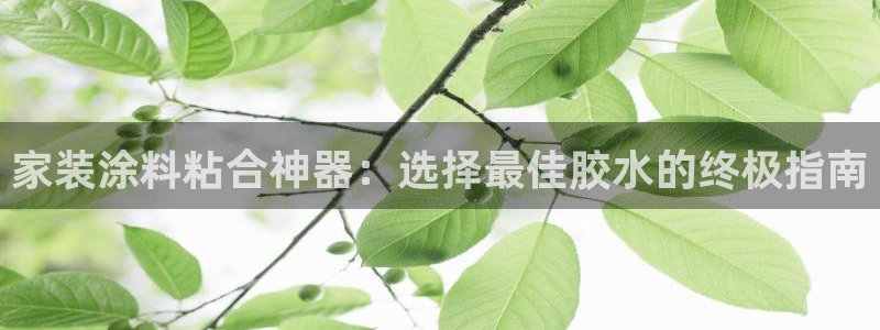 和记官方直营注册：家装涂料粘合神器：选择最佳胶水的终极指南