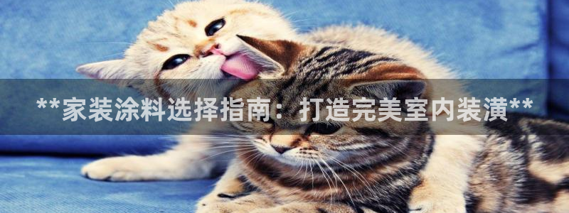 和记官方平台：**家装涂料选择指南：打造完美室内装潢**