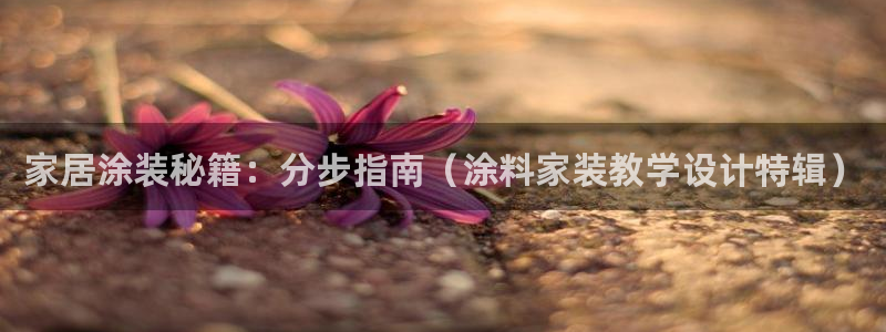 和记官方平台：家居涂装秘籍：分步指南（涂料家装教学设计特辑）