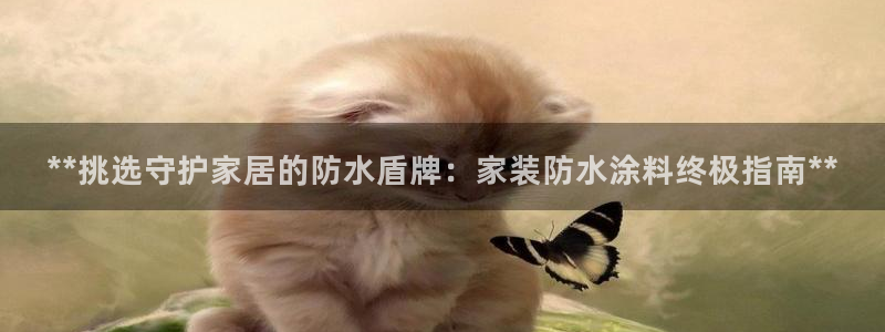 和记2017app：**挑选守护家居的防水盾牌：家装防水涂料终极指南**