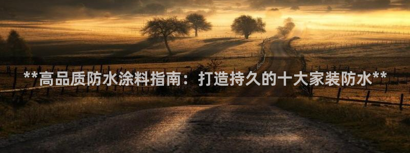 和记 中国首页：**高品质防水涂料指南：打造持久的十大家装防水**