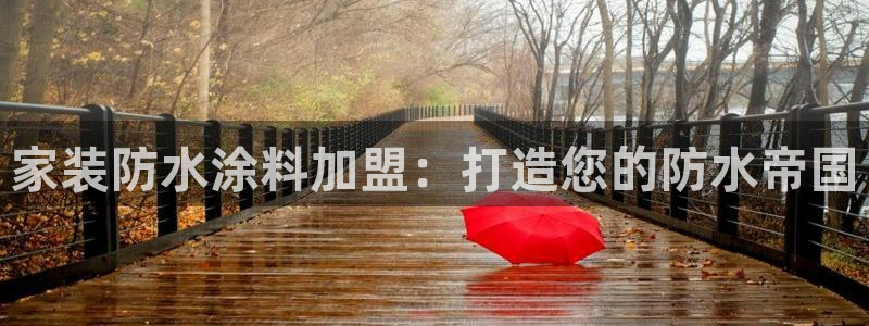 青岛大生和记餐饮管理有限公司：家装防水涂料加盟：打造您的防水帝国