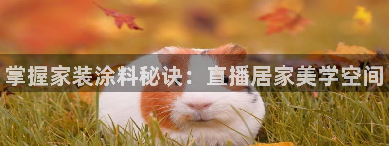 和记网页版：掌握家装涂料秘诀：直播居家美学空间