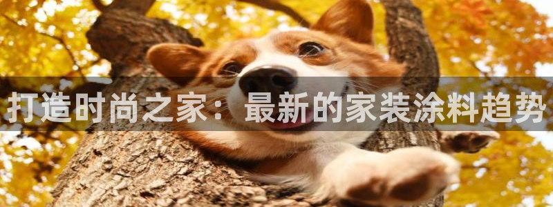 和记官方网址