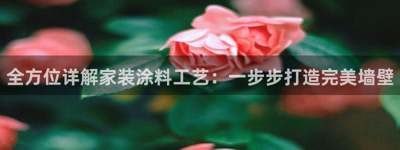 和记国际电讯市值：全方位详解家装涂料工艺：一步步打造完美墙壁