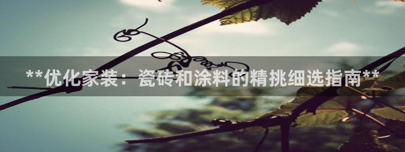 和记登陆：**优化家装：瓷砖和涂料的精挑细选指南**