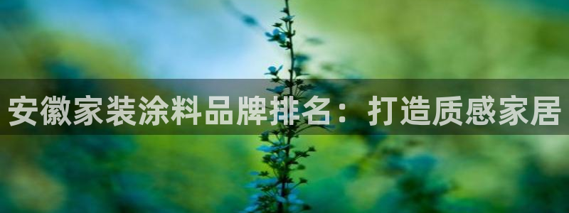 和记官网登陆：安徽家装涂料品牌排名：打造质感家居
