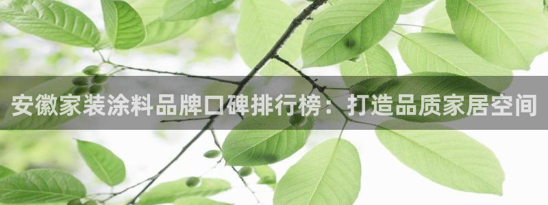和记平台登陆：安徽家装涂料品牌口碑排行榜：打造品质家居空间