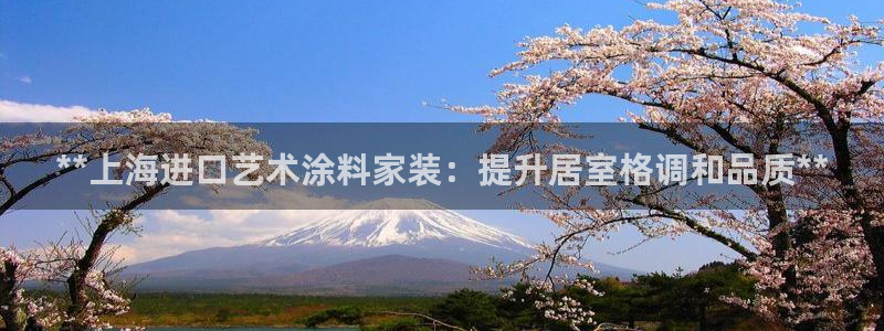 和记官方直营注册导航：**上海进口艺术涂料家装：提升居室格调和品质**