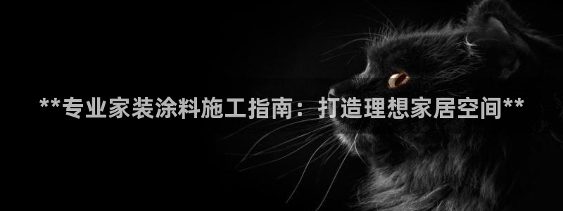 和记paging：**专业家装涂料施工指南：打造理想家居空间**