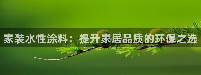 和记h88游戏：家装水性涂料：提升家居品质的环保之选