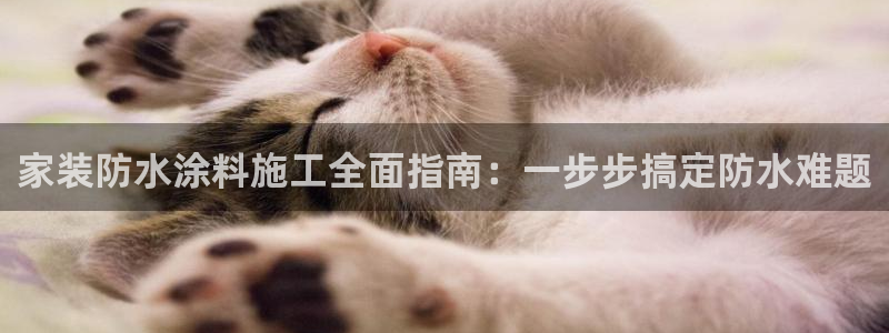 和记paging：家装防水涂料施工全面指南：一步步搞定防水难题