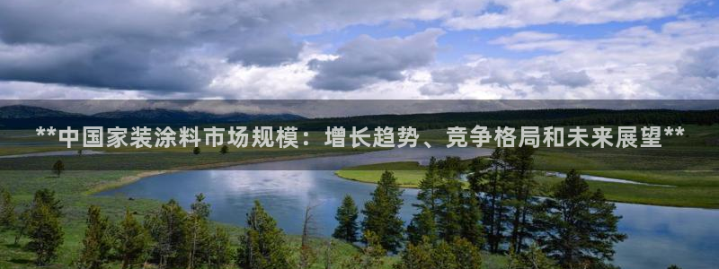 和记官网登陆：**中国家装涂料市场规模：增长趋势、竞争格局和未来展望**