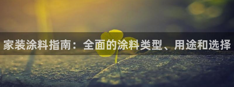 和记港口：家装涂料指南：全面的涂料类型、用途和选择