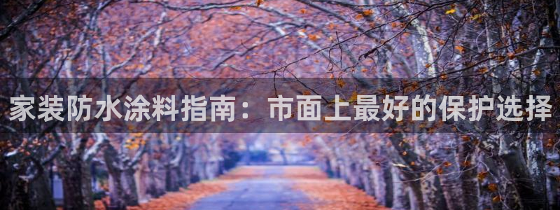 和记下载：家装防水涂料指南：市面上最好的保护选择