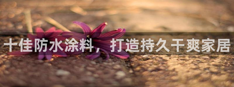 和记h8：十佳防水涂料，打造持久干爽家居