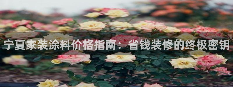 和记(福建)商贸有限公司招聘：宁夏家装涂料价格指南：省钱装修的终极密钥