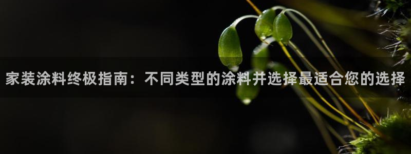 江苏和记餐饮有限公司：家装涂料终极指南：不同类型的涂料并选择最适合您的选择