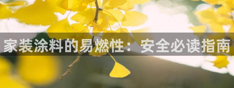 和记 中国官网：家装涂料的易燃性：安全必读指南