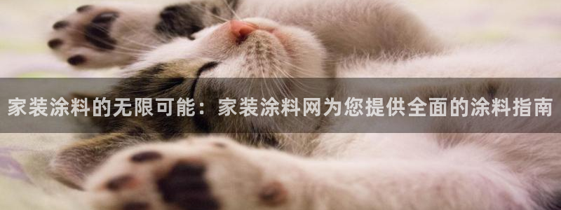 和记 中国首页：家装涂料的无限可能：家装涂料网为您提供全面的涂料指南