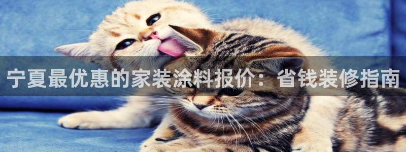 和记 官网：宁夏最优惠的家装涂料报价：省钱装修指南