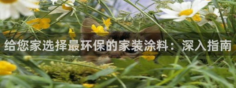 和记平台登陆：给您家选择最环保的家装涂料：深入指南