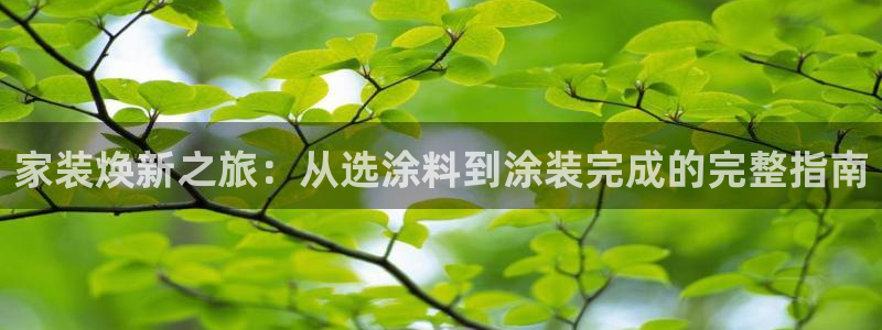 江苏和记数码科技有限公司：家装焕新之旅：从选涂料到涂装完成的完整指南