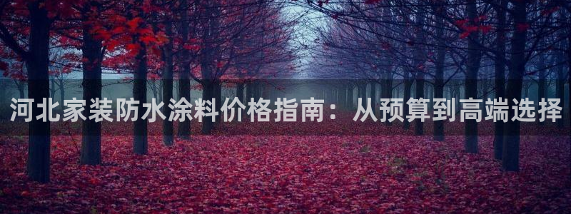 和记平台登陆：河北家装防水涂料价格指南：从预算到高端选择