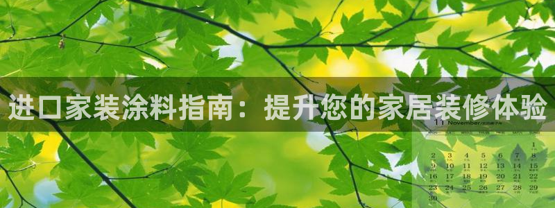 和记5g电讯：进口家装涂料指南：提升您的家居装修体验