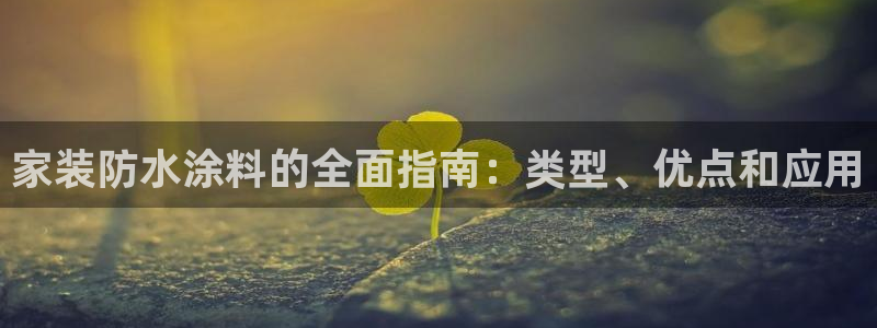 和记官网登陆：家装防水涂料的全面指南：类型、优点和应用
