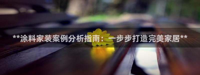 和记Ag：**涂料家装案例分析指南：一步步打造完美家居**