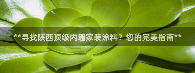和记平台官网：**寻找陕西顶级内墙家装涂料？您的完美指南**