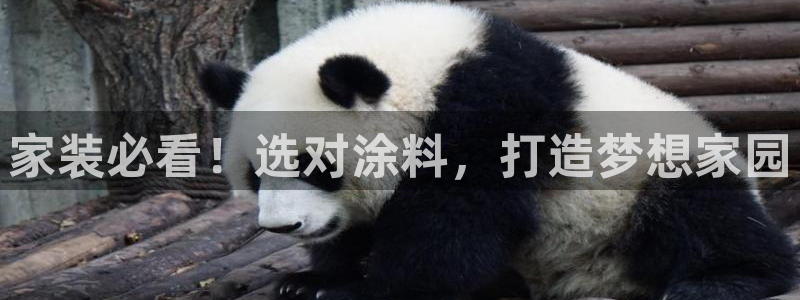 和记官方平台：家装必看！选对涂料，打造梦想家园