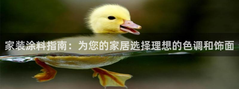 和记h8：家装涂料指南：为您的家居选择理想的色调和饰面