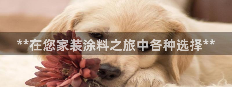 和记官方网站