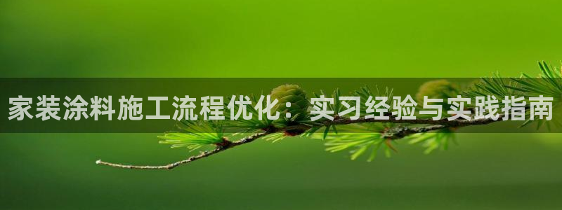 和记paging：家装涂料施工流程优化：实习经验与实践指南