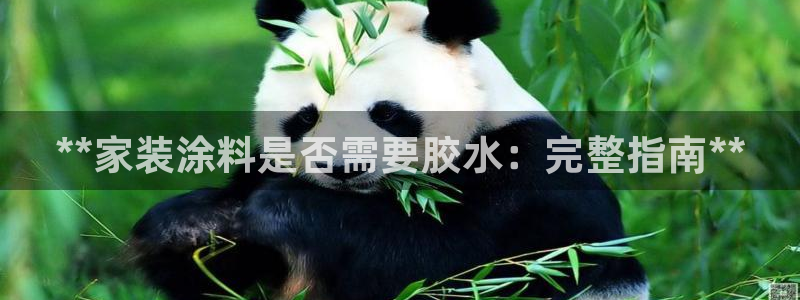 江苏和记餐饮有限公司：**家装涂料是否需要胶水：完整指南**