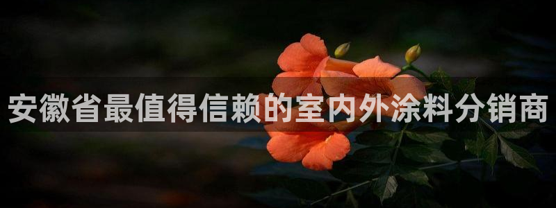 和记ag网址：安徽省最值得信赖的室内外涂料分销商