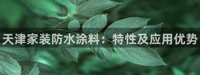 和记ag网页版：天津家装防水涂料：特性及应用优势