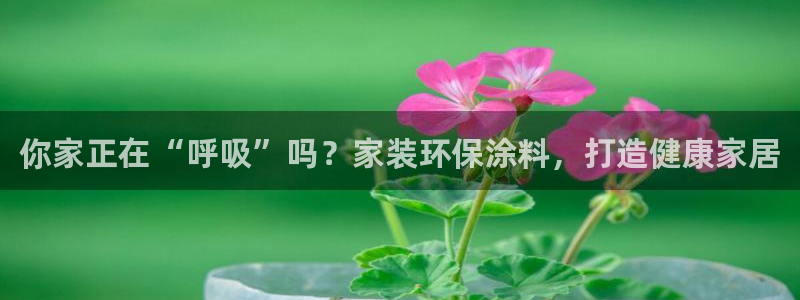 和记国际官网官网：你家正在“呼吸”吗？家装环保涂料，打造健康家居