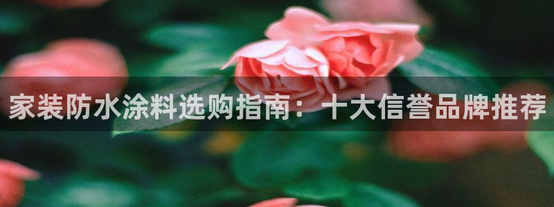 和记登陆：家装防水涂料选购指南：十大信誉品牌推荐