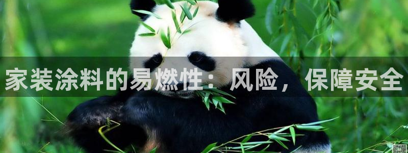 和记ag网址：家装涂料的易燃性：风险，保障安全