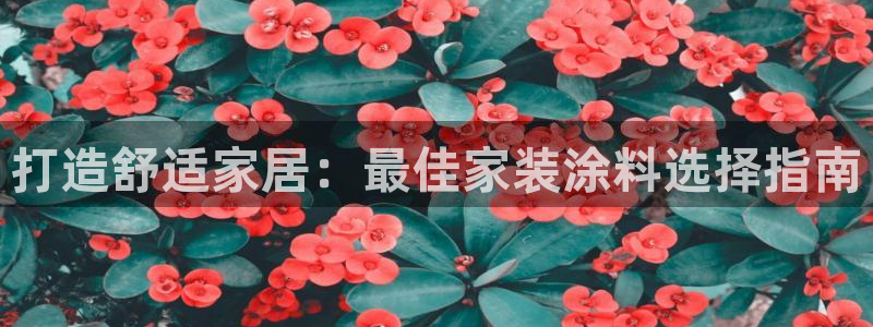 和记ag旗舰：打造舒适家居：最佳家装涂料选择指南