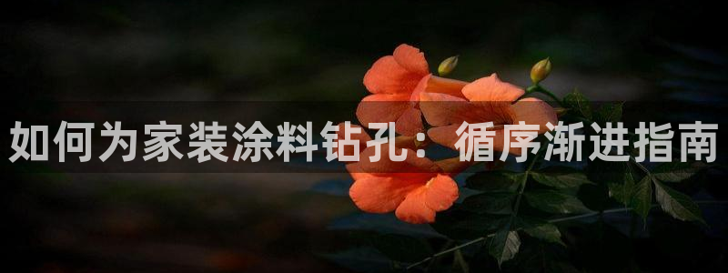 和记最新官方网址