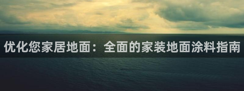 和记港口：优化您家居地面：全面的家装地面涂料指南