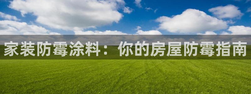 和记ag旗舰：家装防霉涂料：你的房屋防霉指南