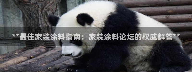 和记ag：**最佳家装涂料指南：家装涂料论坛的权威解答**
